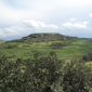 gelmus hill